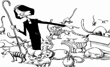 herding-cats5